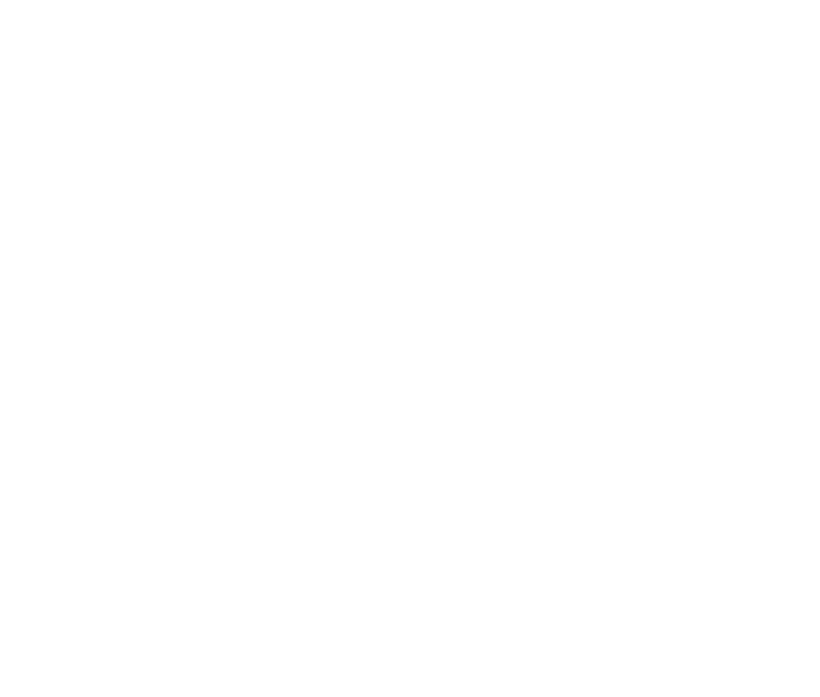 JS Transportation and Removal Inc